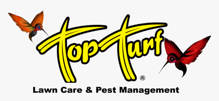 Ana Is Des Ladoo, HD Png Download