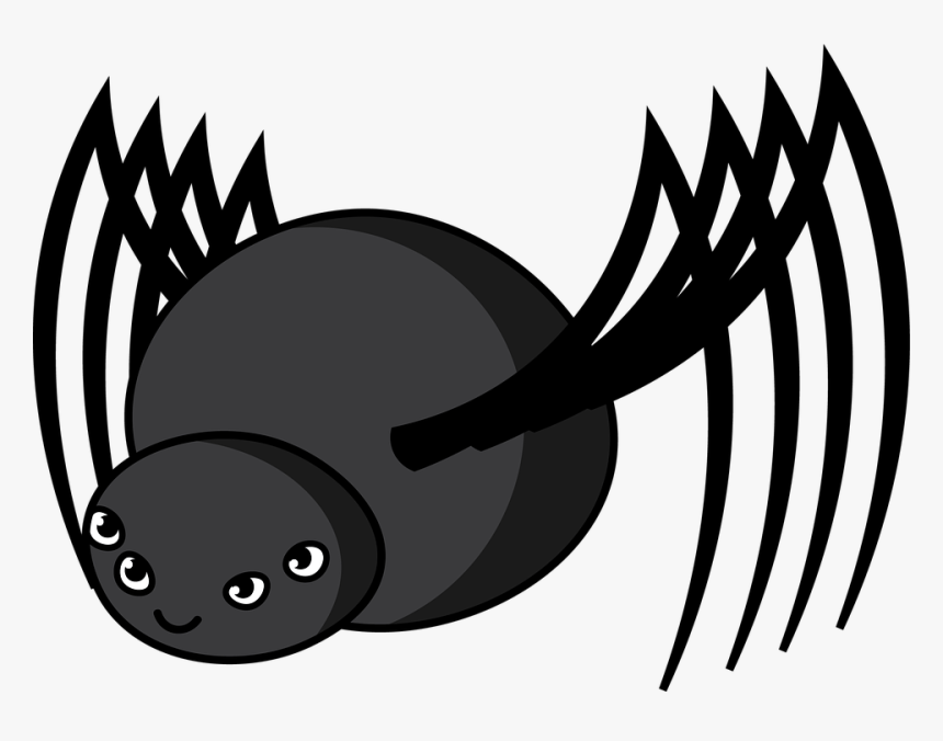 Dibujo De Araña Png, Transparent Png
