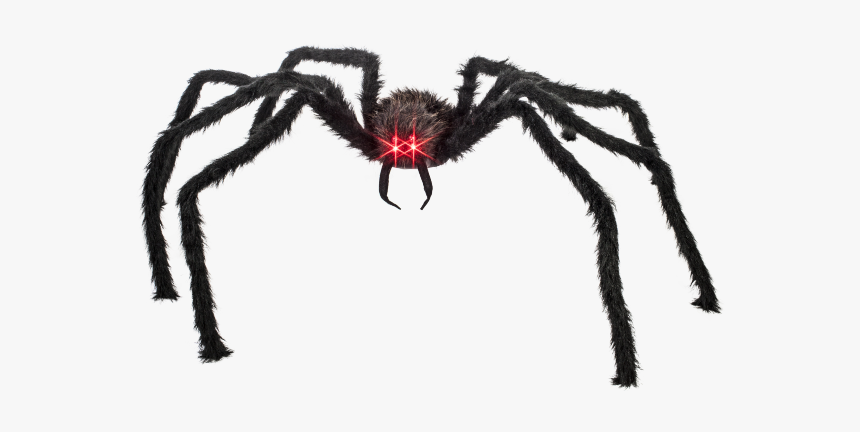 Black Spider Red Eyes, HD Png Download