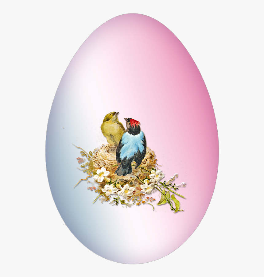 Egg, HD Png Download