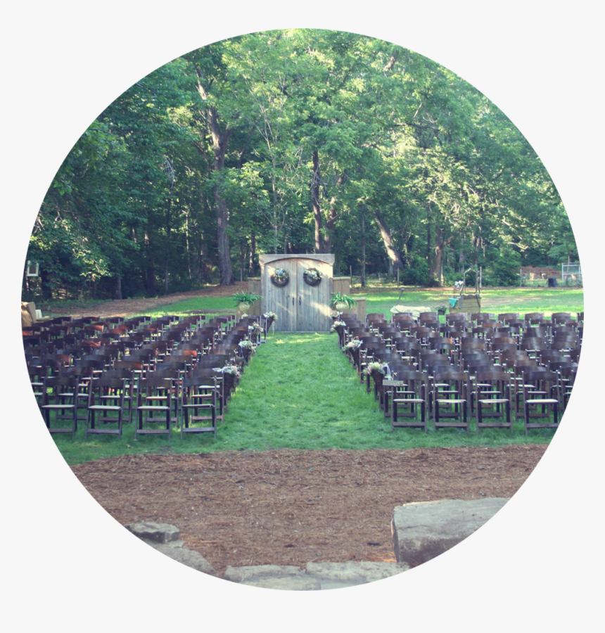 Wedding-01 - Tree, HD Png Download