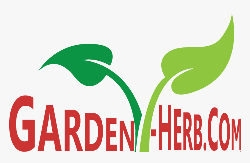 Stommerd, HD Png Download