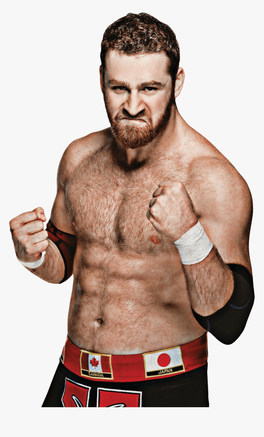 Professional-boxer - Sami Zayn Png, Transparent Png