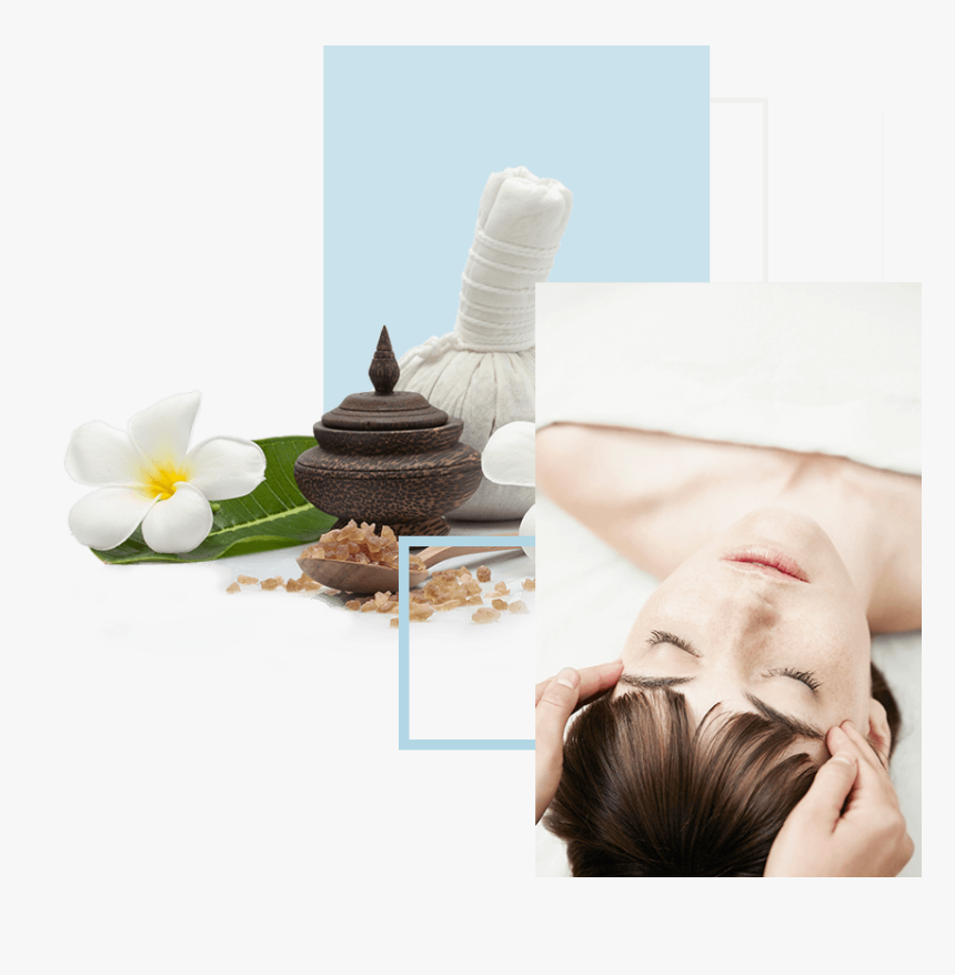 Frangipani, HD Png Download