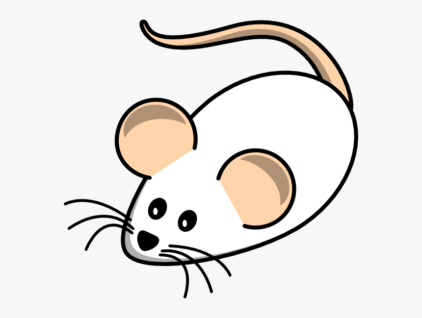 Field Mouse White Clip Art - Clipart Mouse, HD Png Download