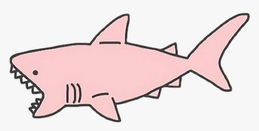 1024 X 471 1 0 - Pink Shark Transparent, HD Png Download
