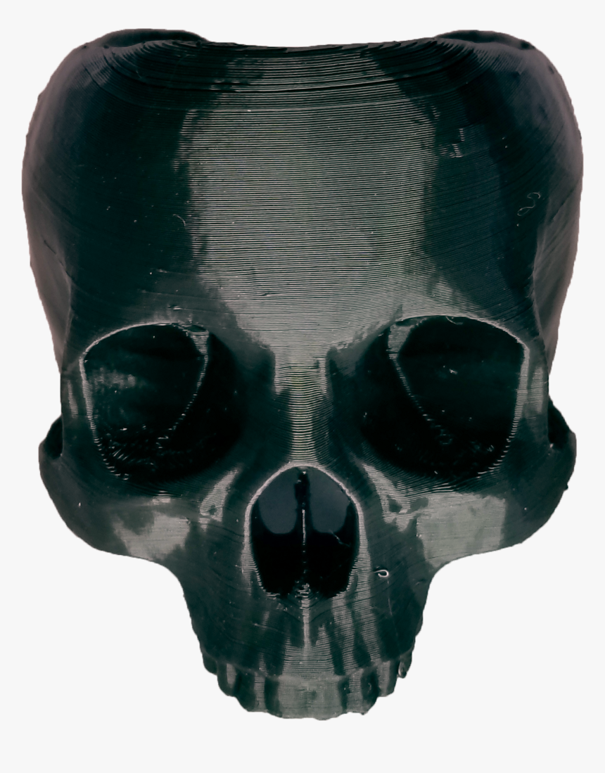 Transparent Skull No Jaw Png - Skull, Png Download