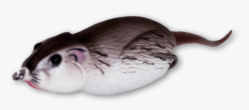 Mouse, HD Png Download