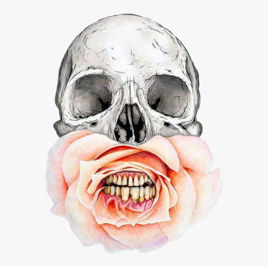 Jeff Proctor Artist, HD Png Download