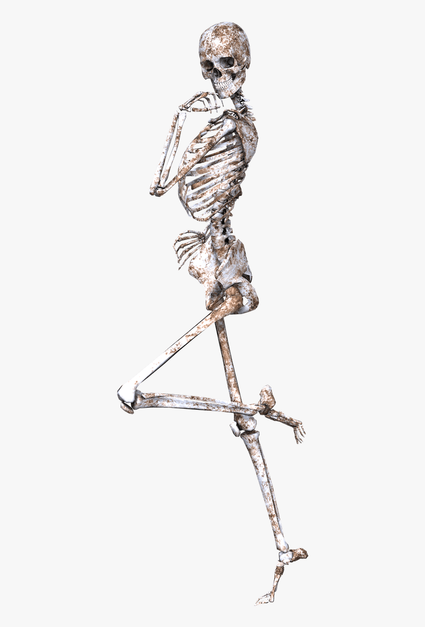 Skeleton On One Leg - Skeleton Clipart No Background, HD Png Download