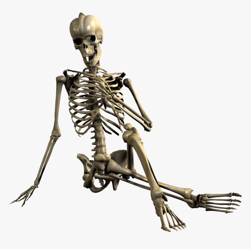 Skeleton Hand In Front Of Chest - Skeleton Png, Transparent Png
