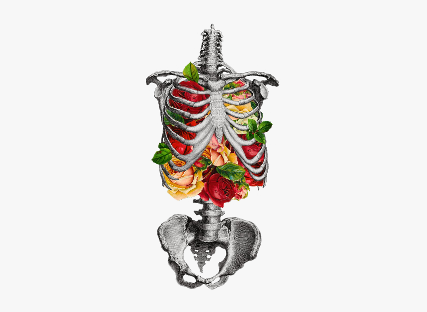 Transparent Inner Beauty - Skeleton Chest With Flowers, HD Png Download