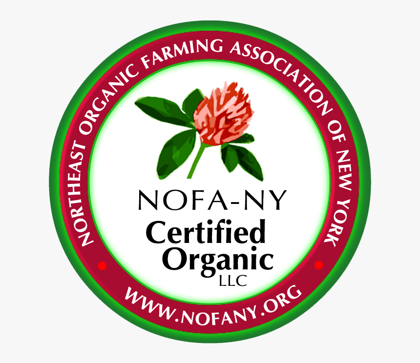 Llc Logo 2019 Transparent - Far East Organization, HD Png Download