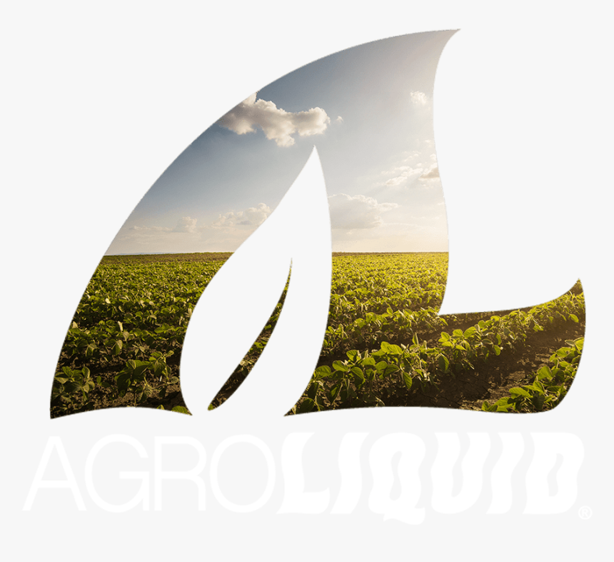 Grass, HD Png Download