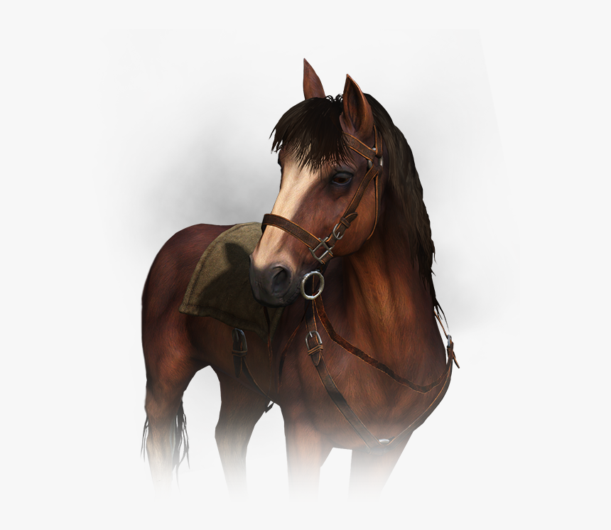 Witcher Wiki - Płotka Wiedźmin, HD Png Download