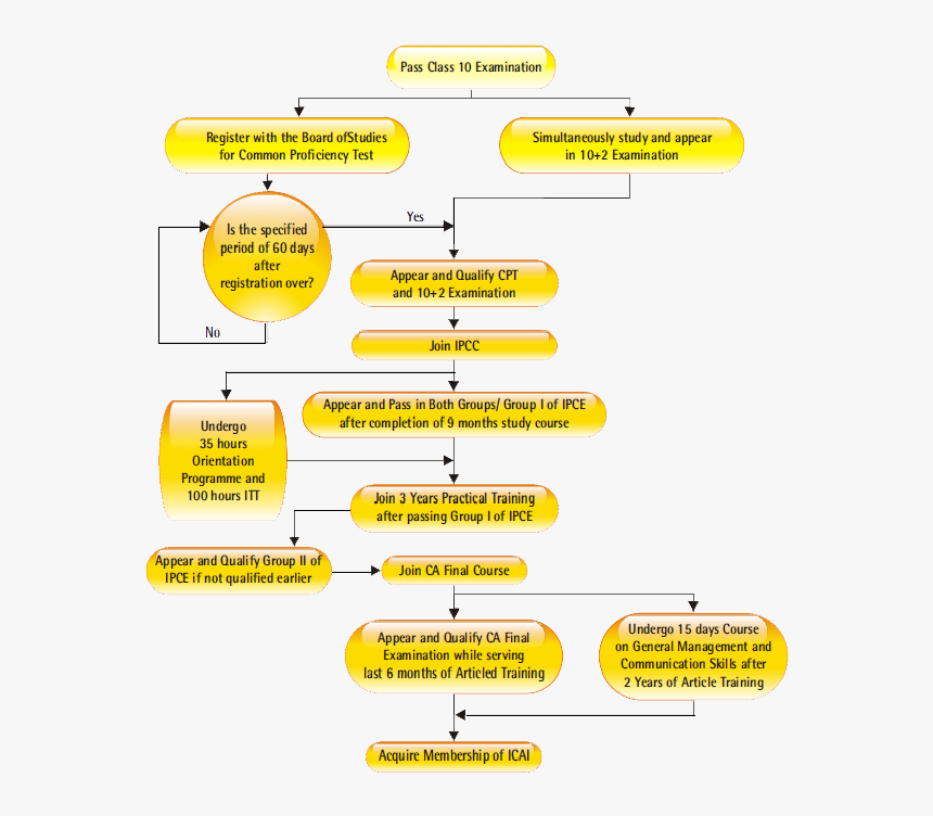 Ca Course Flowchart - Become A Chartered Accountant, HD Png Download