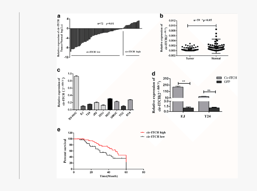 Diagram, HD Png Download