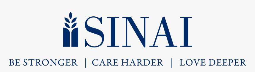 Mount Sinai Chicago Logo, HD Png Download