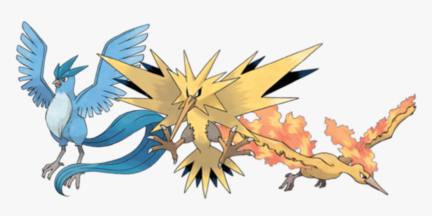 Pokemon Go Teams Birds, HD Png Download
