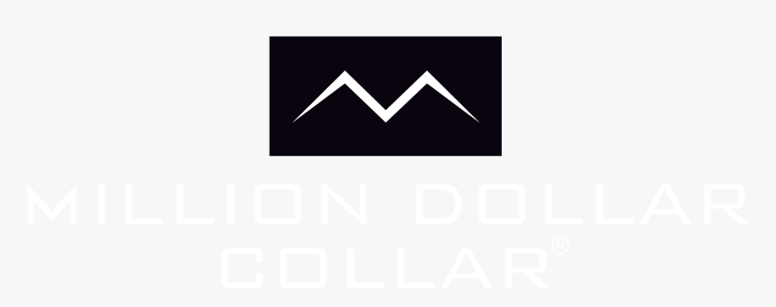 Class Footer Logo Lazyload Appear 
 Data Sizes 25vw - Triangle, HD Png Download