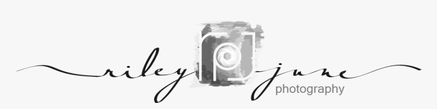 Logo Design By Just Me For This Project - Transparent Logo For Photography Png, Png Download