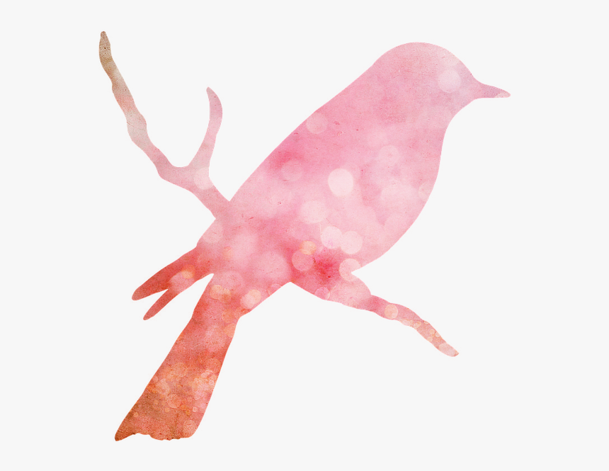 Bird, Animals, Nest, Elements, Scrap, Pink, Vintage - Bird Shape, HD Png Download