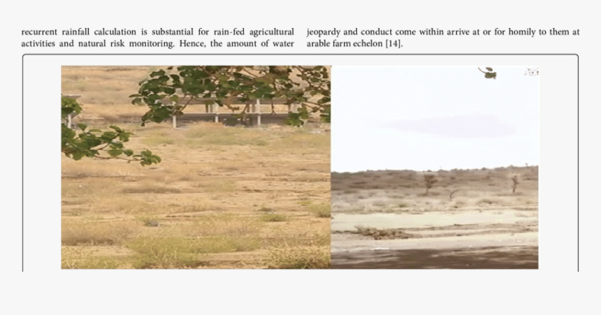 Expansion Of Desert In Areas - Tree, HD Png Download