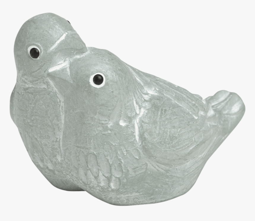 Pigeons And Doves, HD Png Download