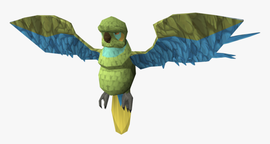 Runescape Parrot, HD Png Download