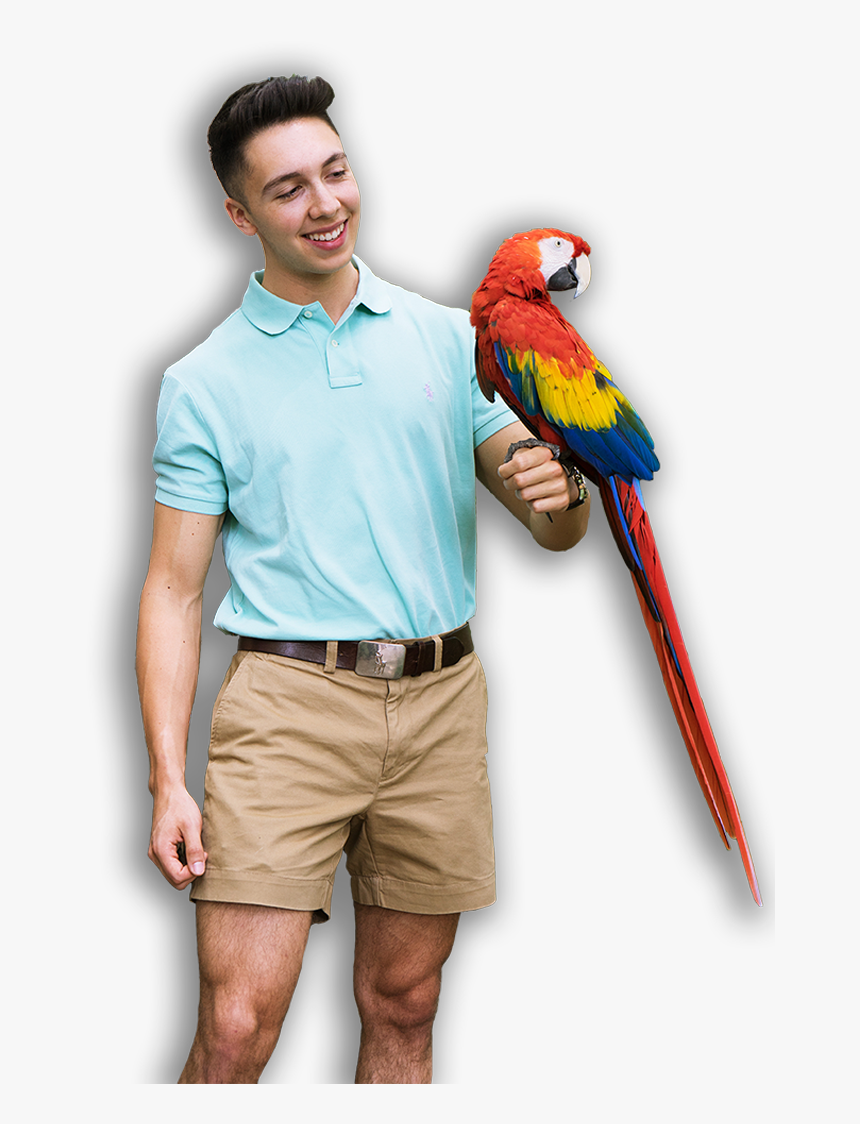 Boy With Parrot, HD Png Download