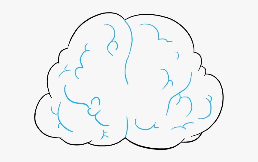 How To Draw Brain, HD Png Download