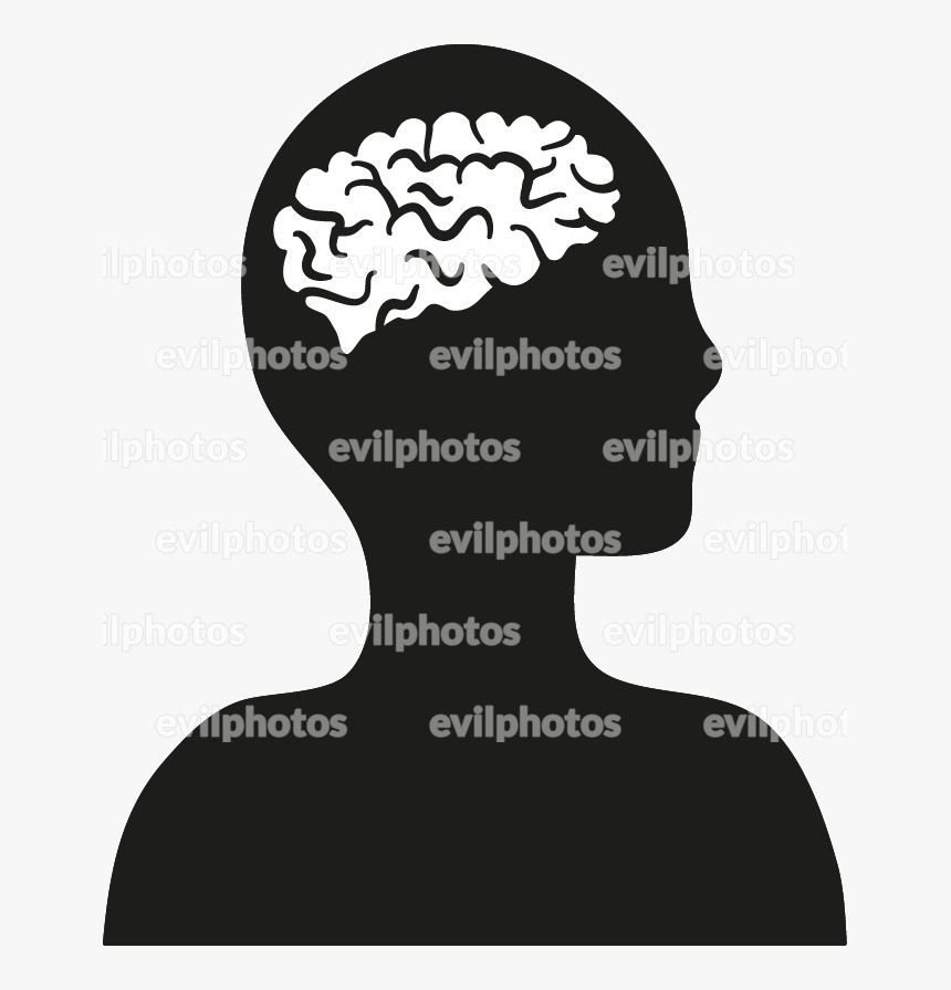 Brain Drawing Vector And Stock Photo - Illustration, HD Png Download