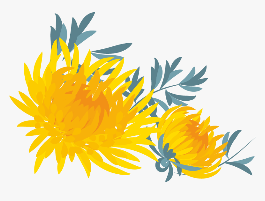 Free Online Flowers Plants Leaves Oxygen Vector For - Sunflower, HD Png Download