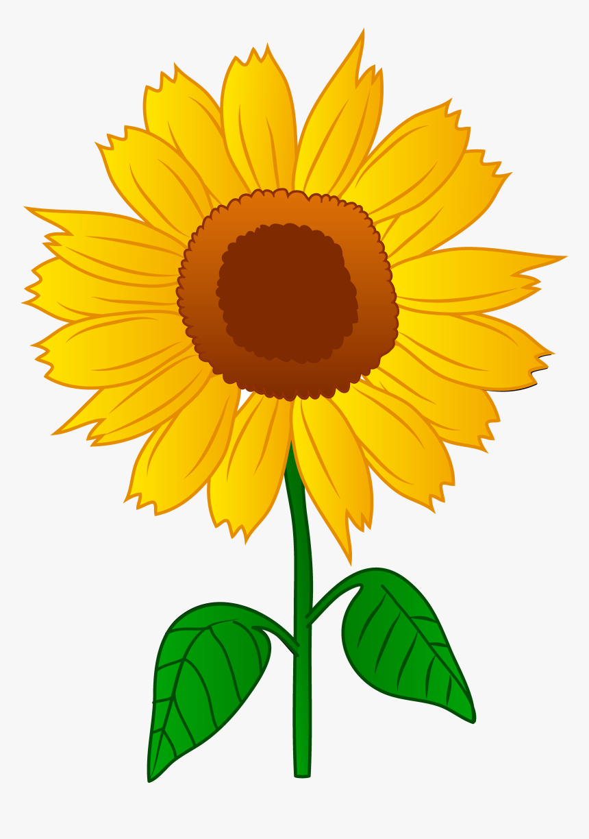 Free Free 314 Clear Background Sunflower Clipart Transparent Transparent Sunflower Border Png SVG PNG EPS DXF File