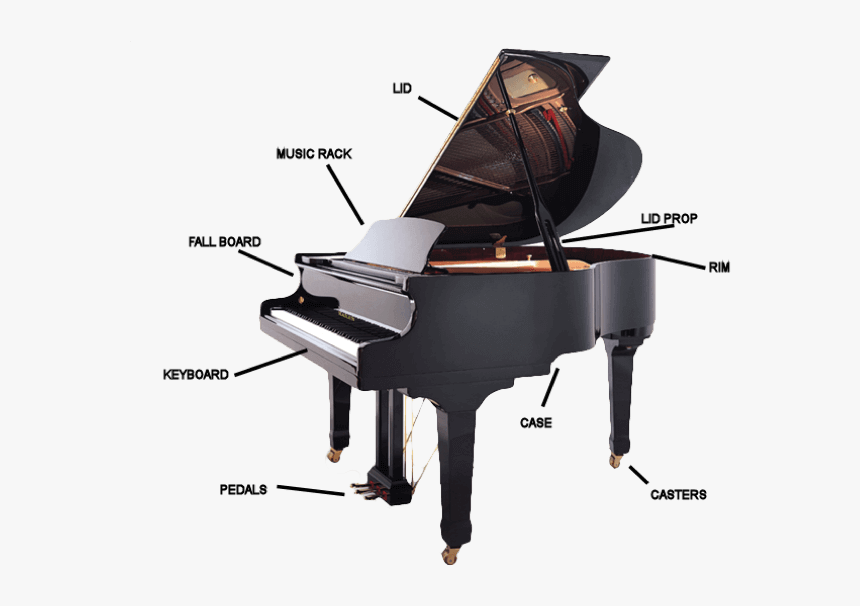 Piano Hailun, HD Png Download