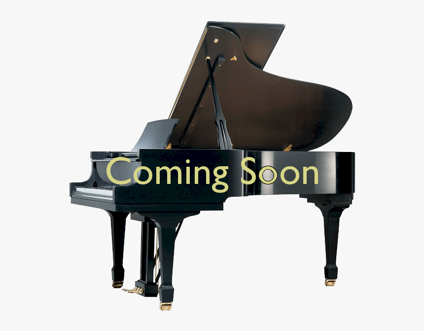 Pianos For Sale Twin Cities - Grand Piano Platinum, HD Png Download