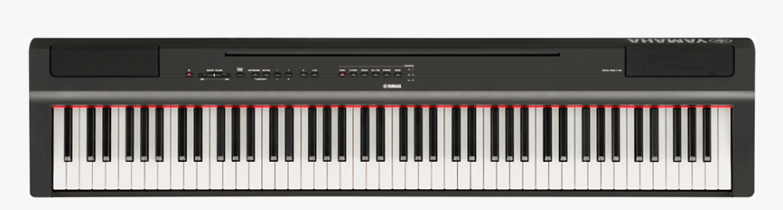 Yamaha P 125 Digital Piano 88 Key 

 
 Data Rimg Lazy - Yamaha P 125 Digitale Piano, HD Png Download
