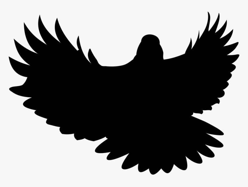 Bird, Wings, Pen, Flight, Nature, Wild Birds - Illustration, HD Png Download