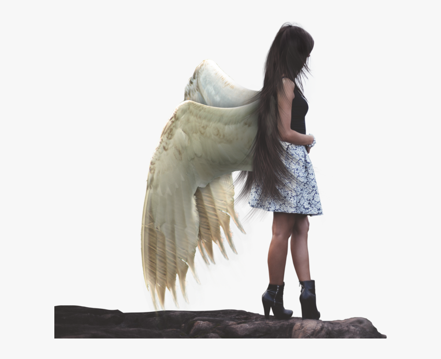 #humananimal #girl #bird #wings #mistic #fantasy #ftestickers - Girl With Bird Wings, HD Png Download