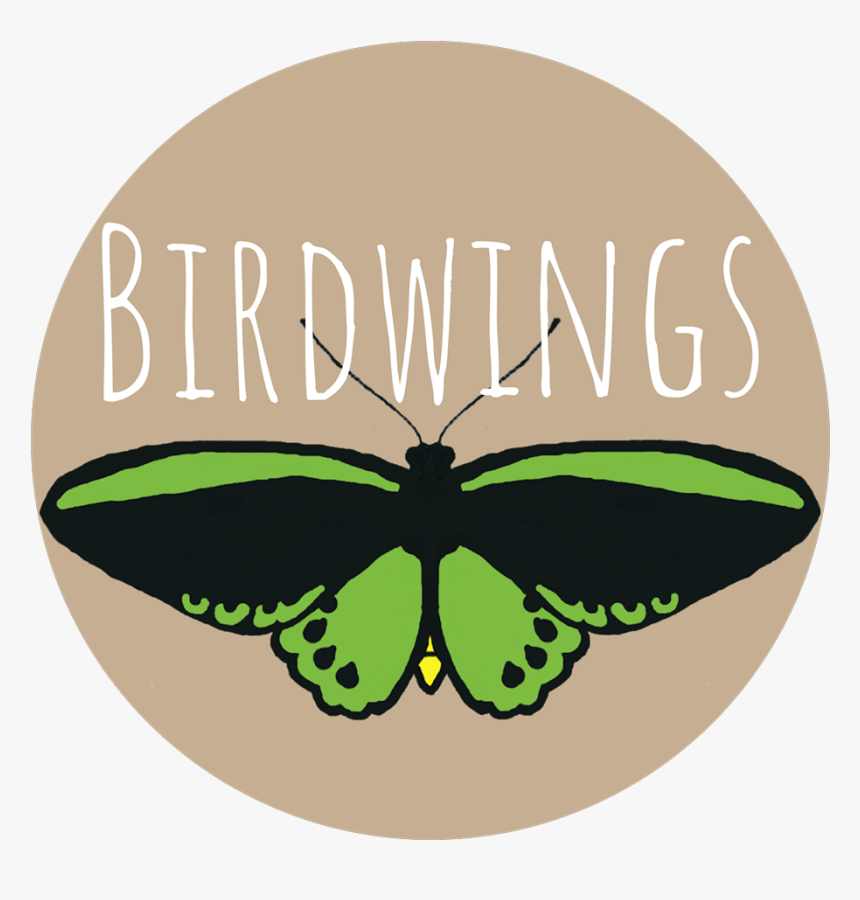 Callophrys, HD Png Download