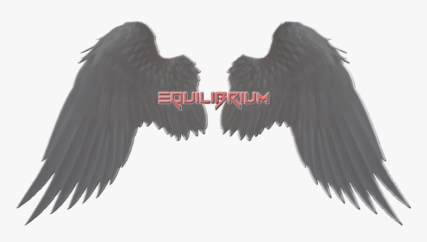 Castiel Angel Wings - Transparent Angel Wings Big, HD Png Download