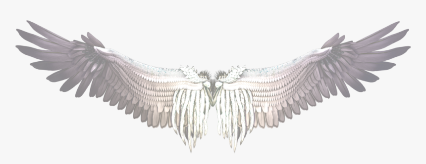 Buffalo Wing Castiel Bird - Purple And Black Wings, HD Png Download