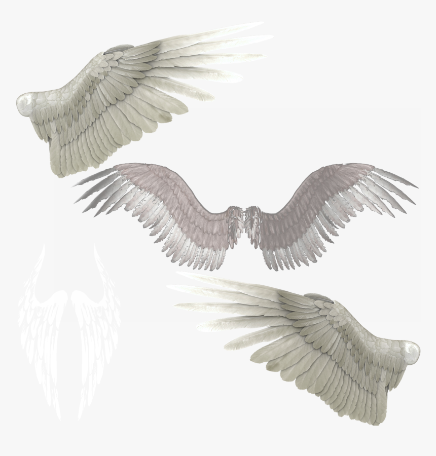 Transparent Devil Wings Png - Transparent Wings Png, Png Download