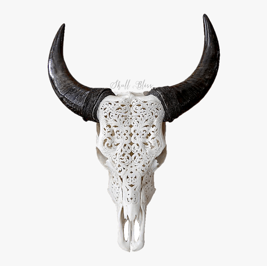 Texas Longhorn English Longhorn Skull Goat - Carved Cow Skull, HD Png Download