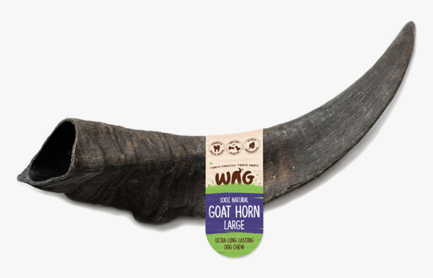 Transparent Goat Horns Png - Tusk, Png Download