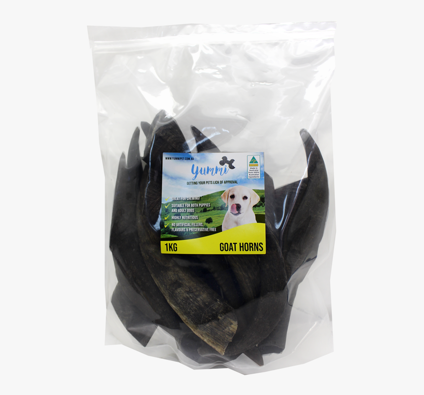 Pet, HD Png Download