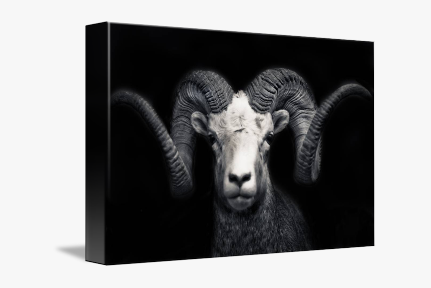 Ram Aesthetic, HD Png Download