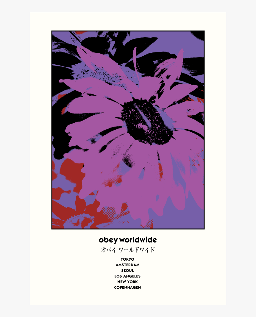 Obey Japan Tour - African Daisy, HD Png Download