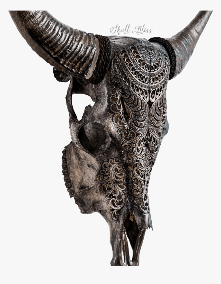 Cow Skull, HD Png Download
