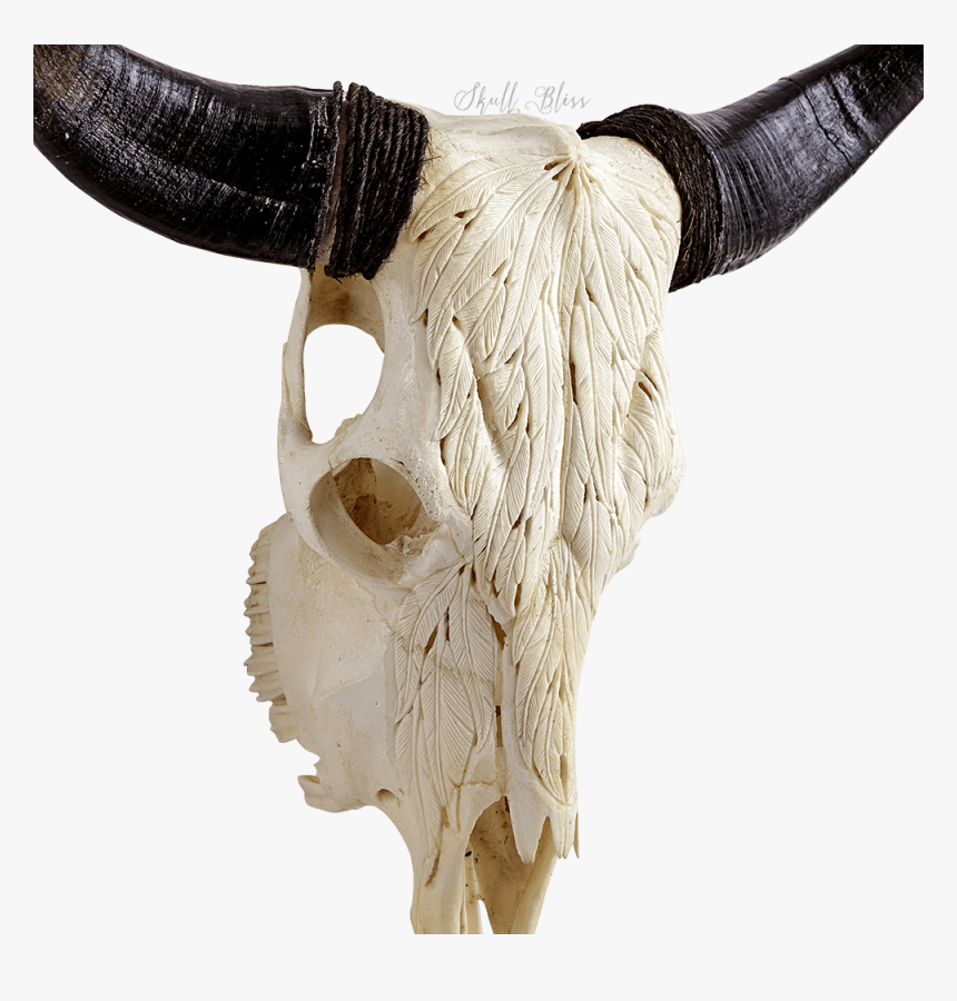 Horn,antler,fur,animal Figure,bovine,cow-goat Family,skull,natural - Ox, HD Png Download